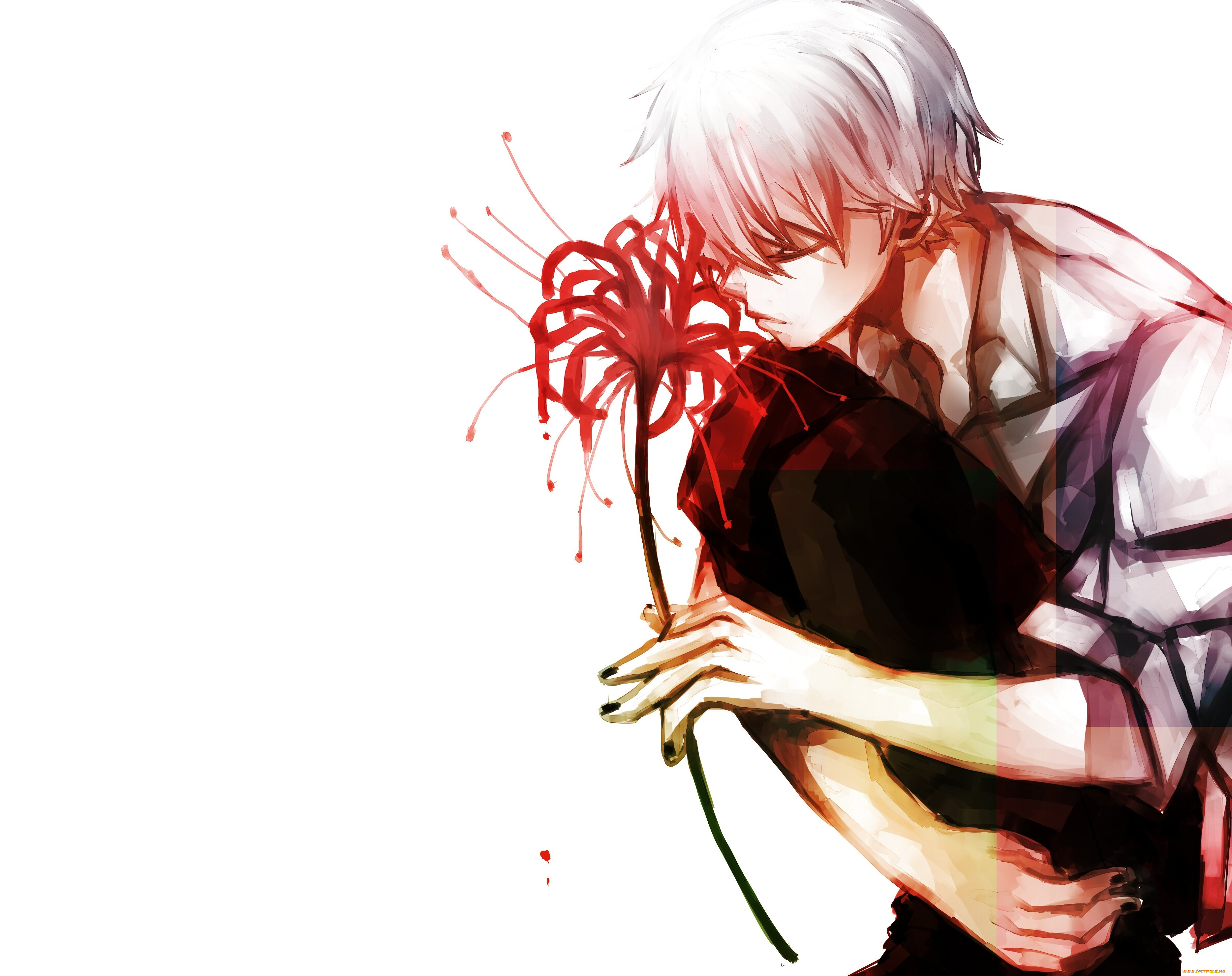 , tokyo ghoul, 